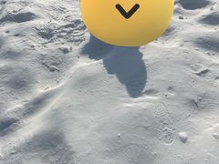 -绿野森林乐园冰雪季
