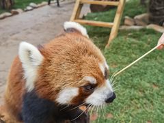-云南野生动物园