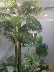 -八佰伴8008星级形象店