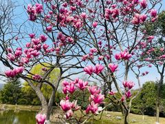 -白马涧龙池景区