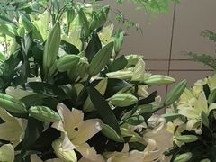 -彩丰楼·中餐厅(国家会展中心上海洲际店)