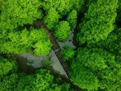 -桤木河湿地公园