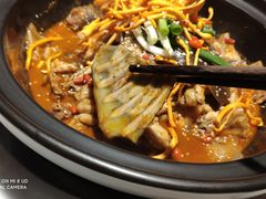 -笨笨甲甲鱼坊(蓝堡湾店)