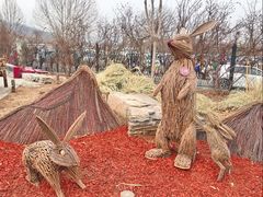 -北京西山国家森林公园