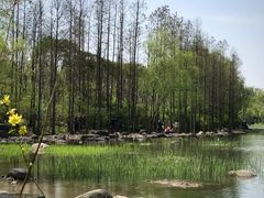 -新江湾城公园