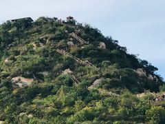 -大岭沟猕猴桃谷风景区