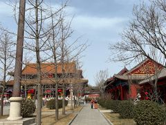 -天津市峰山药王古寺