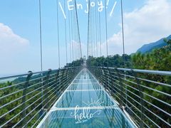 -南丹山森林王国