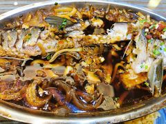 -自游人·美食一楼·地道徽菜(三十年名店)