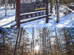 -峡谷浮石林景区