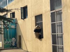 -西安秦岭野生动物园