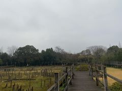 -河姆渡遗址博物馆