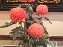 -山水茶艺馆·点心粤菜·30年老字号