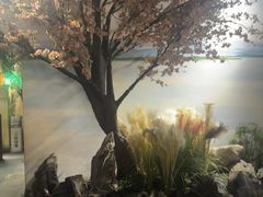 -绿茶餐厅(昌平悦荟店)