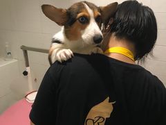 -Double Rui宠物酒店