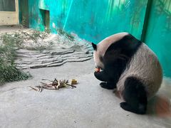 -杭州野生动物世界