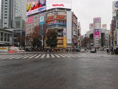 -涩谷区
