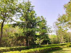 -洨河生态公园