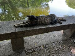 -西园戒幢律寺