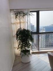 -HEYAN荷妍专业脱毛连锁机构