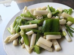 -微山岛春天里酒家