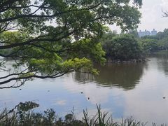-江心屿景区
