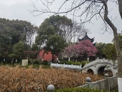 -丝绸小镇荻港古村