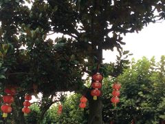 -溪口-滕头旅游景区