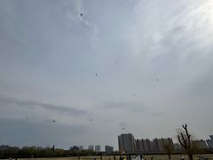 -定鼎门遗址博物馆