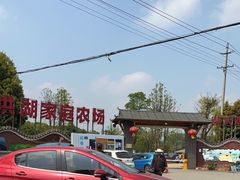 -洪湖家庭农场·团建·露营·会议
