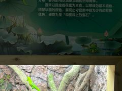 -广州长隆飞鸟乐园