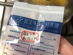 -伟伟宠物医院·CT影像中心·瑞派犬猫综合性门诊(汉口总院)