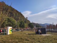 -千年银杏谷文化旅游区