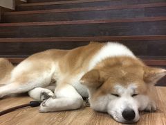 -YCHL Studios健身工作室(市二宫店)