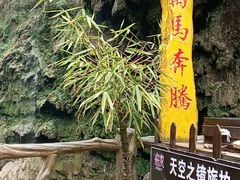 -马岭河峡谷风景区