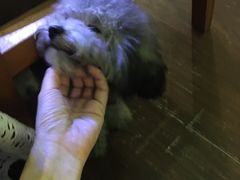 -默迹咖啡馆