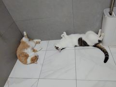 -美迦爱-牙专科·兔科·骨科诊疗中心(北苑店)