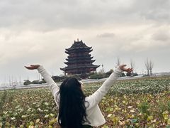 -阳澄湖半岛旅游度假区