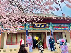 -桃花堤公园