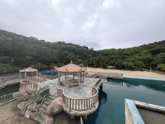 -广东惠东海龟国家级自然保护区