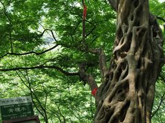 -辋川溶洞