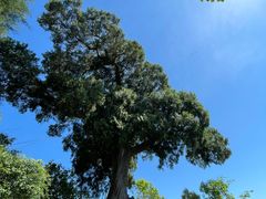-金堂县云顶石城风景区