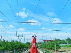 -意大利农场度假村
