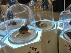 -浙江自然博物院(杭州馆)