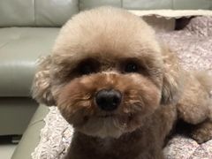 -北京恒爱动物医院(清景园分院)