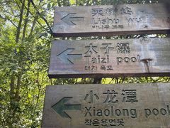 -花溪风景区