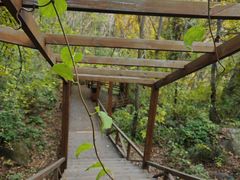 -大岭沟猕猴桃谷风景区