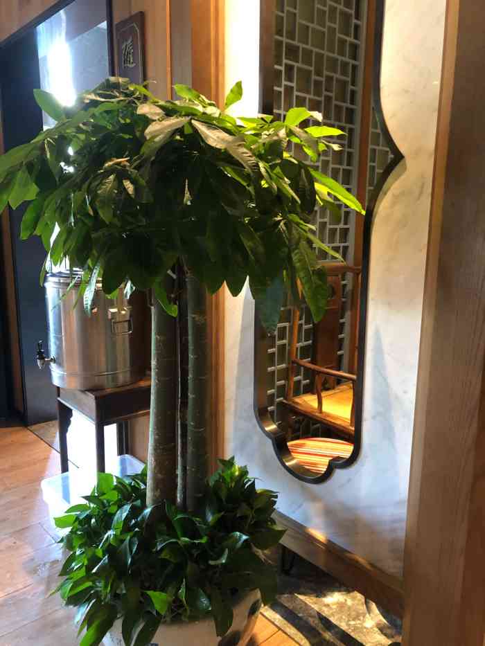 随园小馆-"和闺蜜小聚,团了98元的双人套餐,环境舒."-大众点评移动版