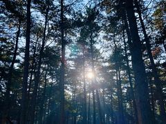 -长春净月潭风景名胜区
