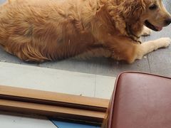 -85度C(上海松江九亭店)